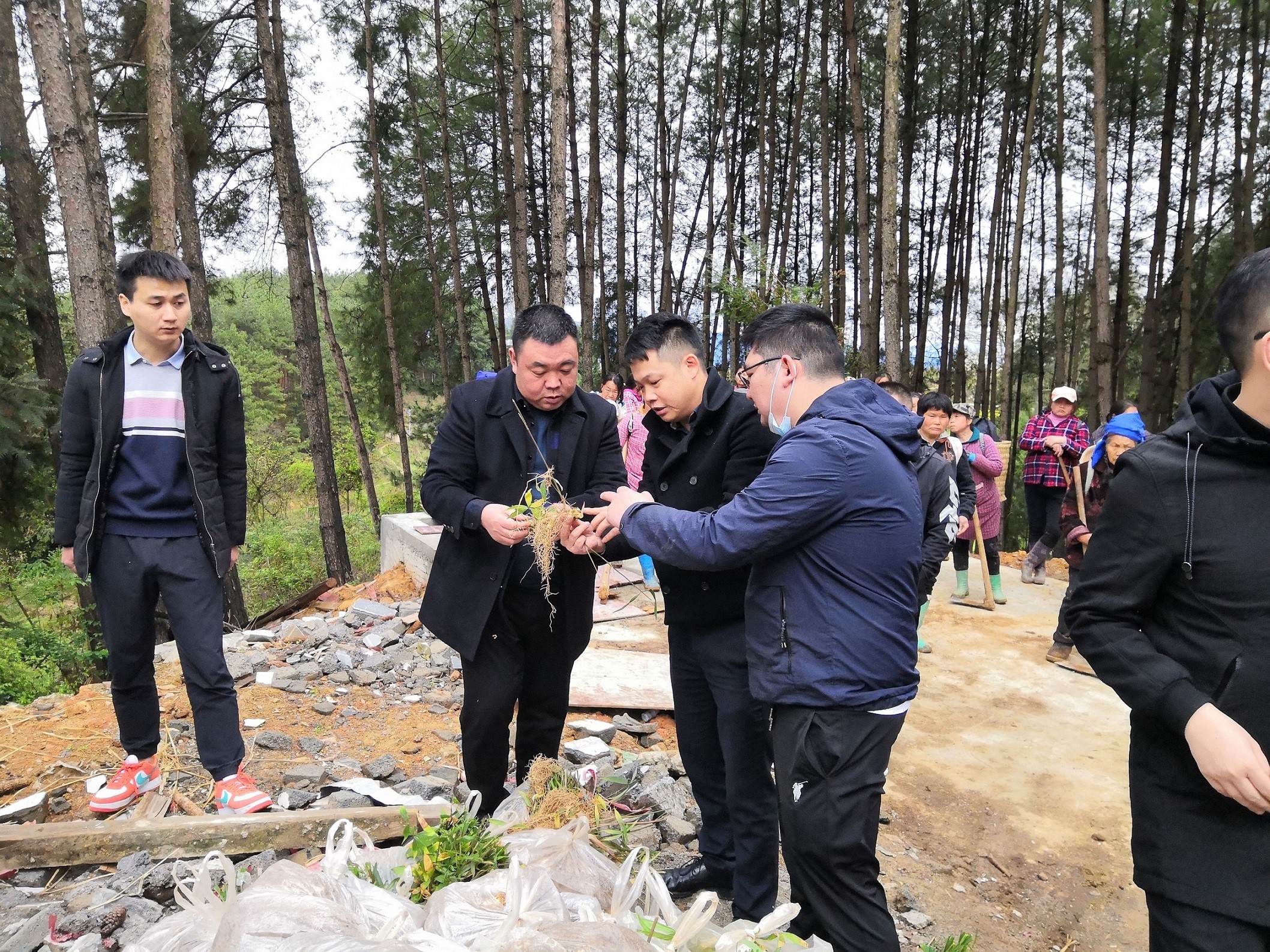 銅仁市城交集團(tuán)九龍地礦公司總經(jīng)理王剛一行前往石阡縣國(guó)家儲(chǔ)備林項(xiàng)目（五期）檢查工作